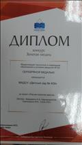 Диплом за конкурс Золотая медаль награждение серебряной медалью за проект "Растим талантов вместе"