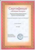 Сертификат участника конкурса  "Безопасность дошкольника на дороге :  как ее обеспечить"
